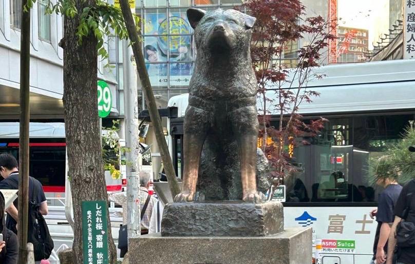 'Hachiko' Anjing Setia Primadona Shibuya-Tokyo 1