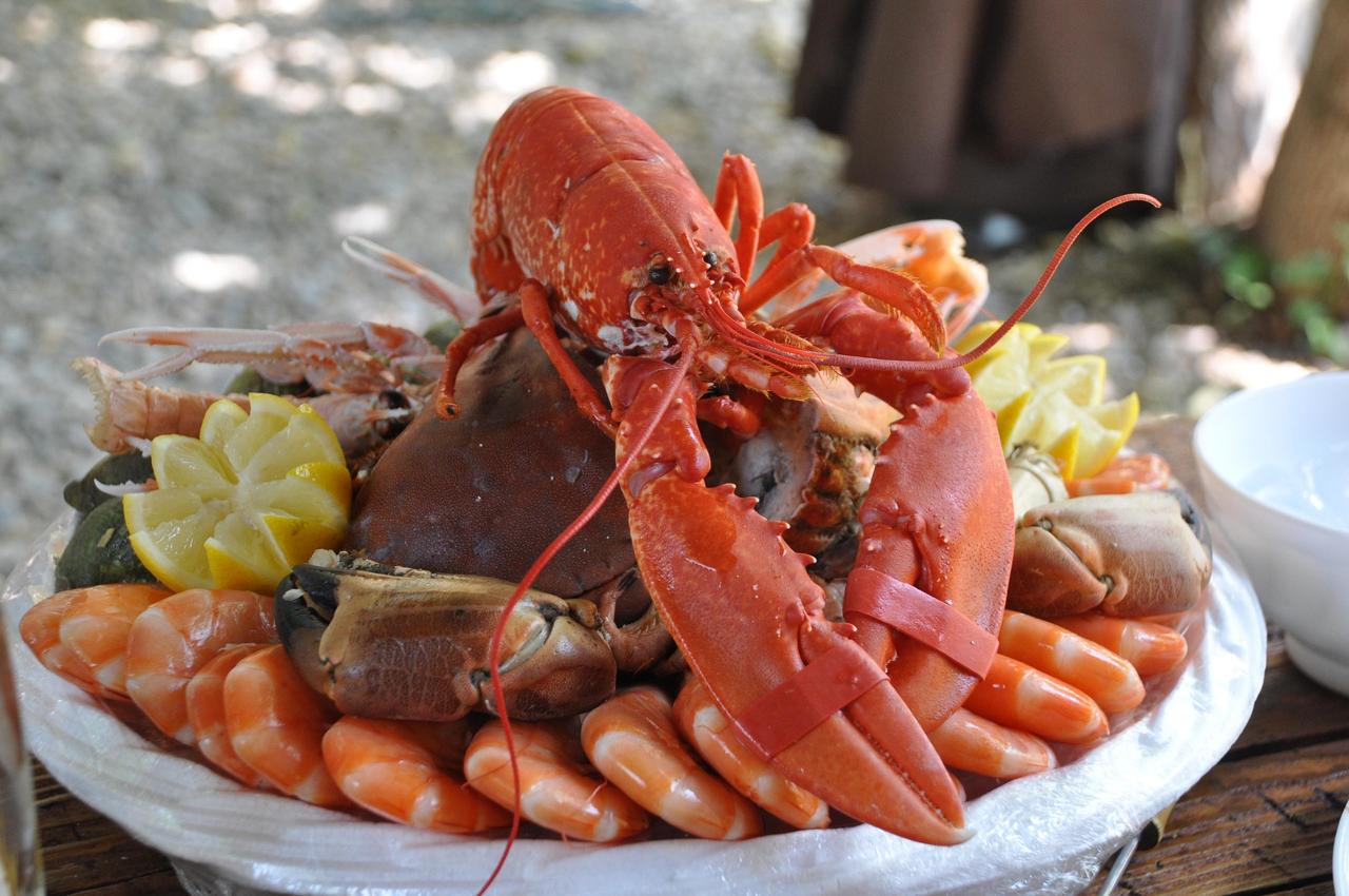 Inggris Larang Rebus Lobster Hidup-hidup 1 Inggris Larang Rebus Lobster Hidup-hidup 2