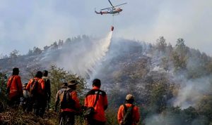 2764798282 9 Taman Nasional Ditutup, Pendakian Semeru Dihentikan 2
