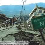 Gempa NTT: 69 Tewas, 34.689 Warga Mengungsi 26