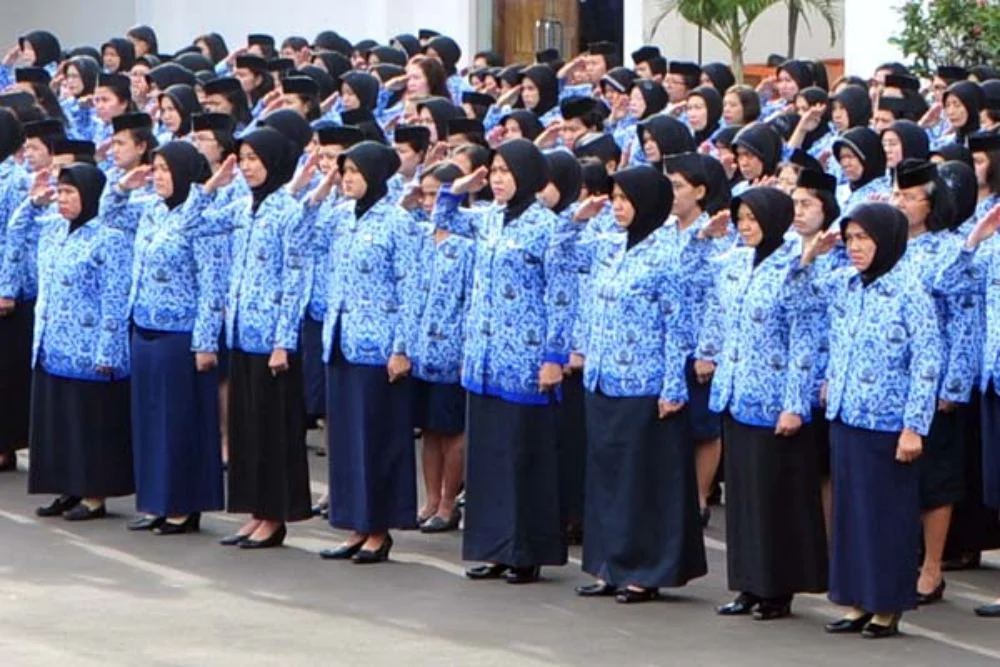 apa_itu_asn_-sekretariat_kabinet_1687502583 WFH ASN Resmi Diperpanjang Hingga Akhir September 2026 1