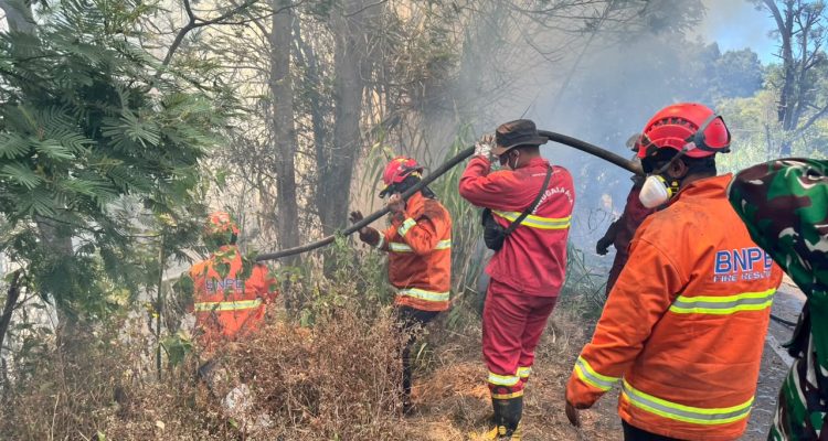 Izin 26 Perusahaan Dibekukan Kemenhut Terkait Karhutla 2
