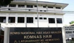 Komnas HAM Minta Hak Warga Terdampak Karhutla Terlindungi 6