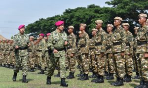 ASN Meninggal Saat Komcad, Kemhan Evaluasi Sistem Seleksi 6