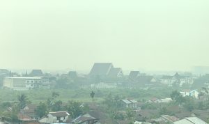 Hujan Turun, Asap Belum Hilang, Warga Pontianak Masih Keluhkan Bau Menyengat 2