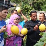 Lahan Tidur Disulap Jadi Kebun Melon, Munjirin Dorong Warga Kembangkan Urban Farming 21