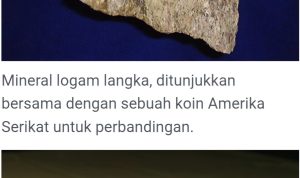 Screenshot_20260924_175442_Chrome Korupsi Mineral Strategis, Penyidik Jampidsus Periksa Pejabat Kementerian Keuangan 3