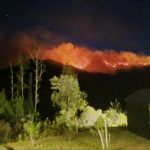 El Nino Belum Puncak, Pemerintah Perketat Penegakan Hukum Karhutla 22