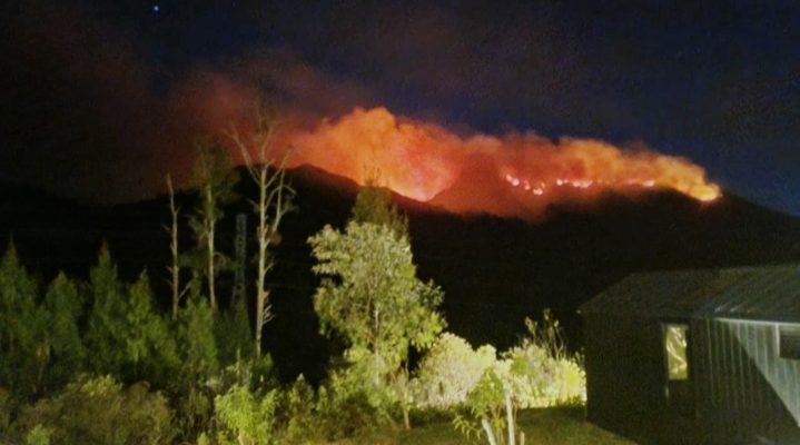 El Nino Belum Puncak, Pemerintah Perketat Penegakan Hukum Karhutla 2