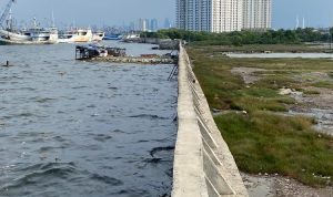 image_1783819947 Ini Kata Pramono Anung Soal Giant Sea Wall Jakarta 2