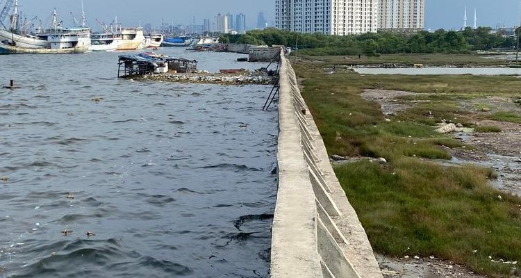 Ini Kata Pramono Anung Soal Giant Sea Wall Jakarta 1