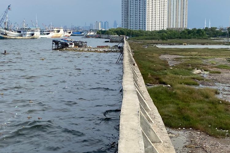 image_1783819947 Ini Kata Pramono Anung Soal Giant Sea Wall Jakarta 1