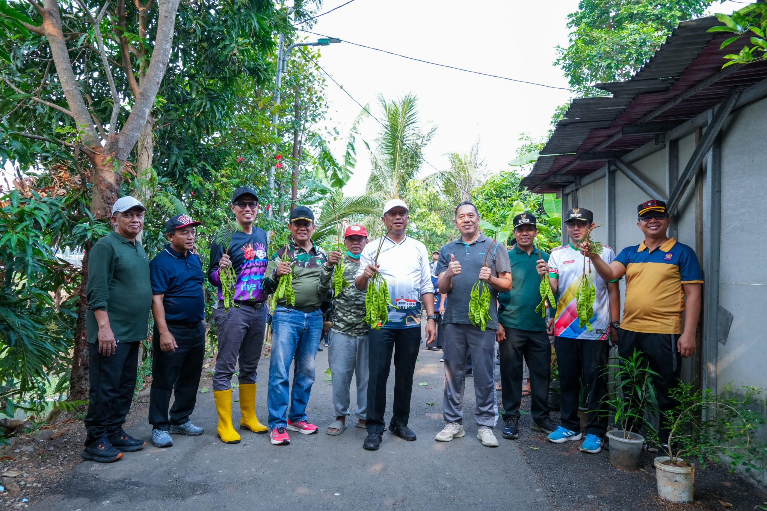 Dukung Ketahanan Pangan, Munjirin Panen Singkong dan Petai Bersama Warga Cipinang Melayu 1 Dukung Ketahanan Pangan, Munjirin Panen Singkong dan Petai Bersama Warga Cipinang Melayu 2