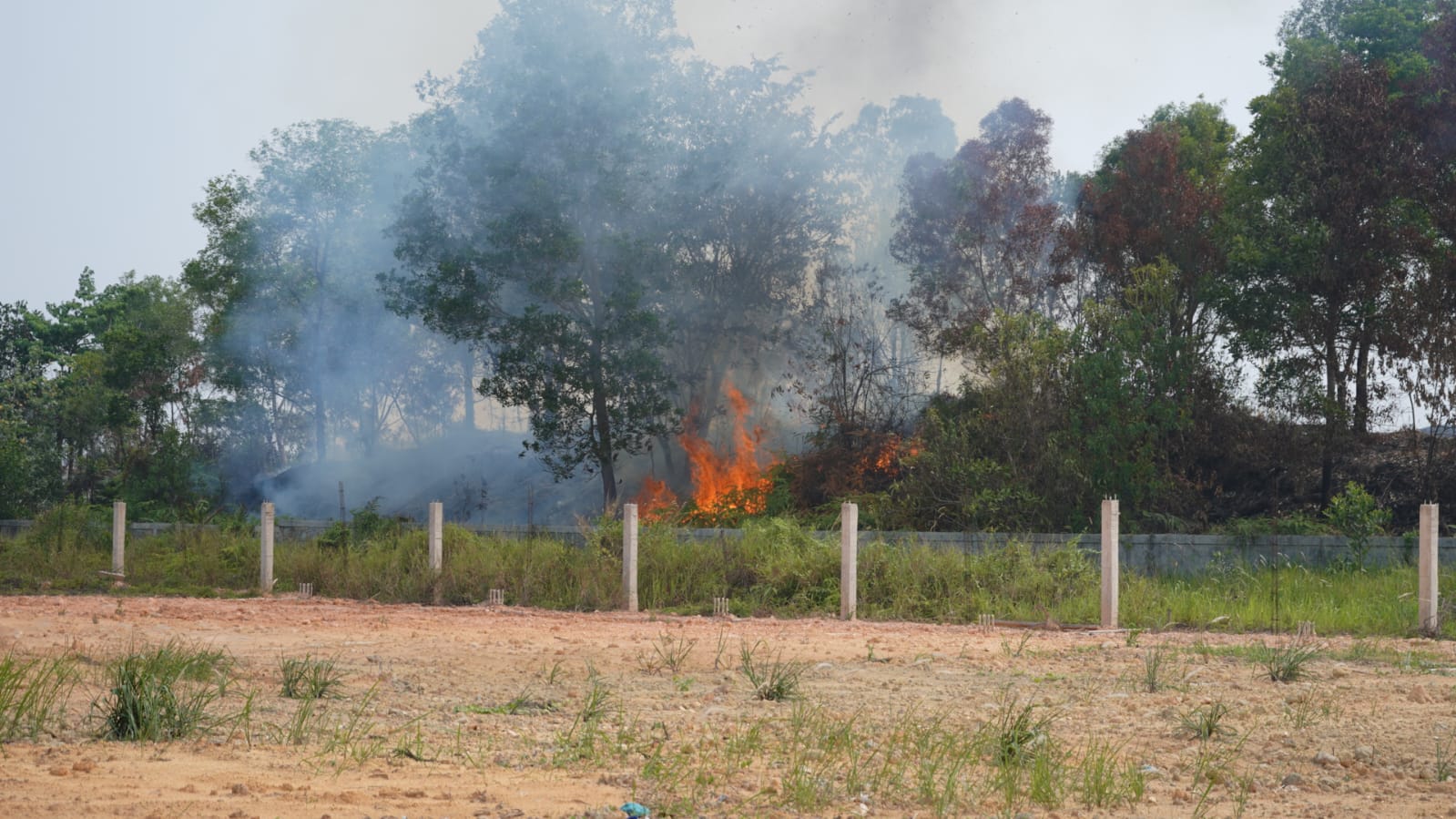 Sigap Cegah Karhutla, Babinpotmar Kodaeral IV Bersama Warga Berhasil Padamkan Kebakaran Lahan di Sagulung 1 Sigap Cegah Karhutla, Babinpotmar Kodaeral IV Bersama Warga Berhasil Padamkan Kebakaran Lahan di Sagulung 2