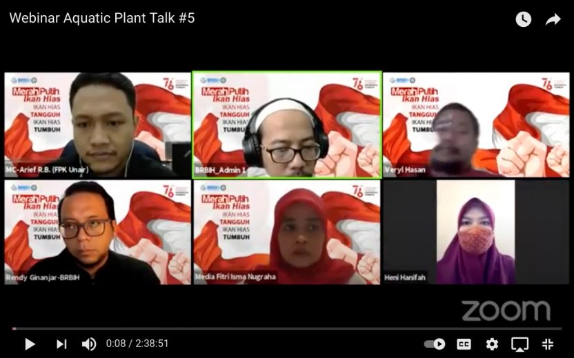 Aquatic Plant, Si Cantik Andalan Penghobi Aquascape 8