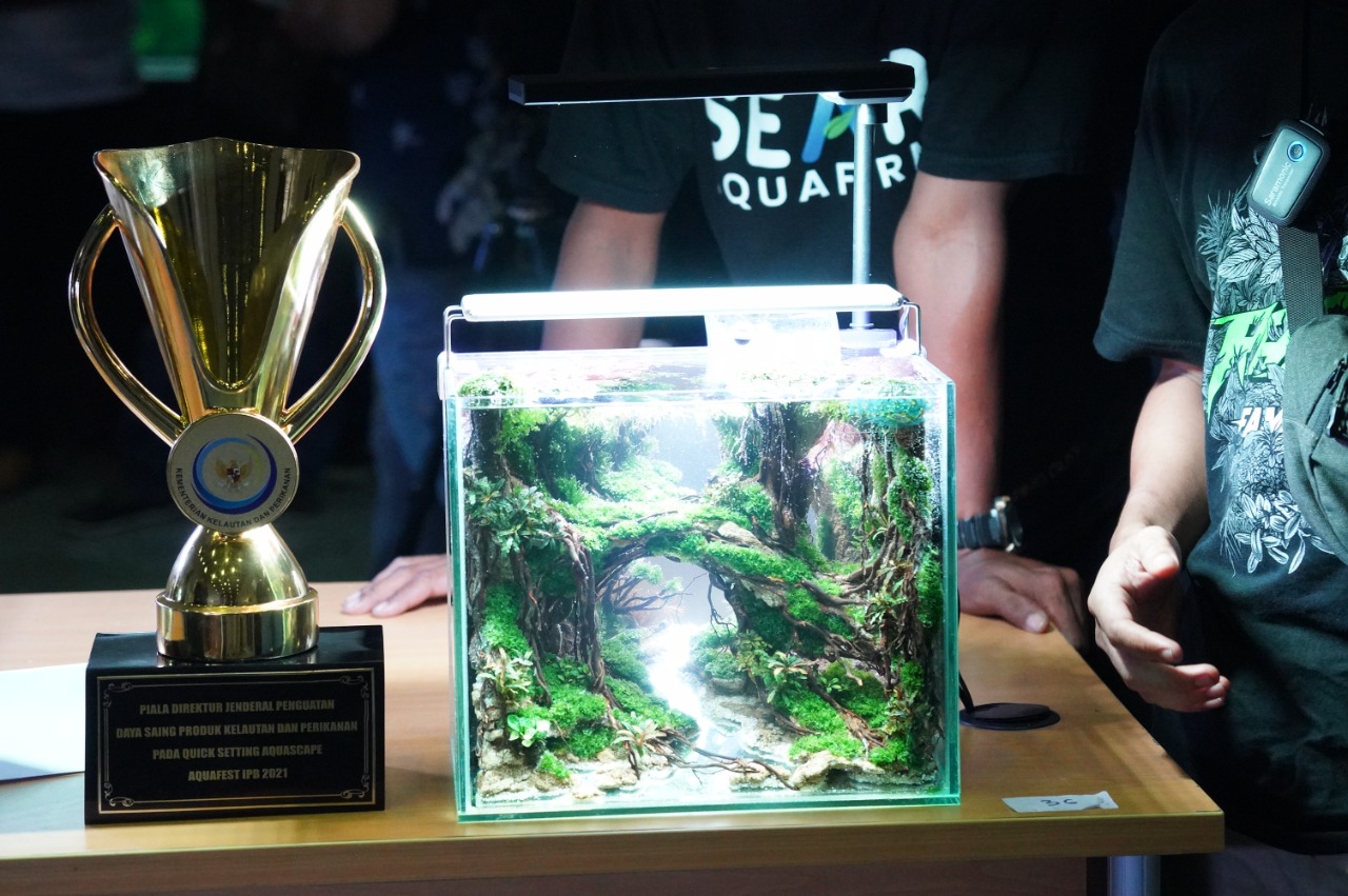 Kerja Sama KKP dan IPB, Gelar Aquafest 2021 Tumbuhkan Rasa Cinta Ikan Hias Indonesia 1