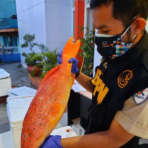 Sektor KP Tumbuhkan Optimisme Ekonomi Kota Balikpapan di Masa Pandemi 13