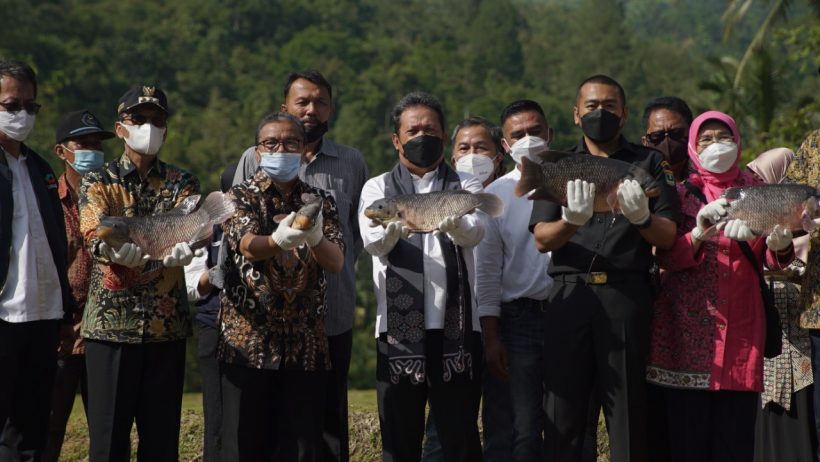 KKP Kembangkan Gurami 'Bima' untuk Sejahterahkan Masyarakat 78