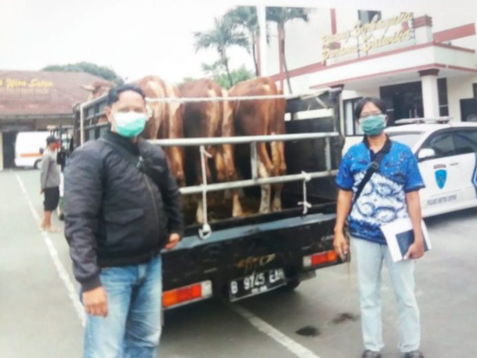 Polres Metro Depok Salurkan 84 Hewan Qurban 12