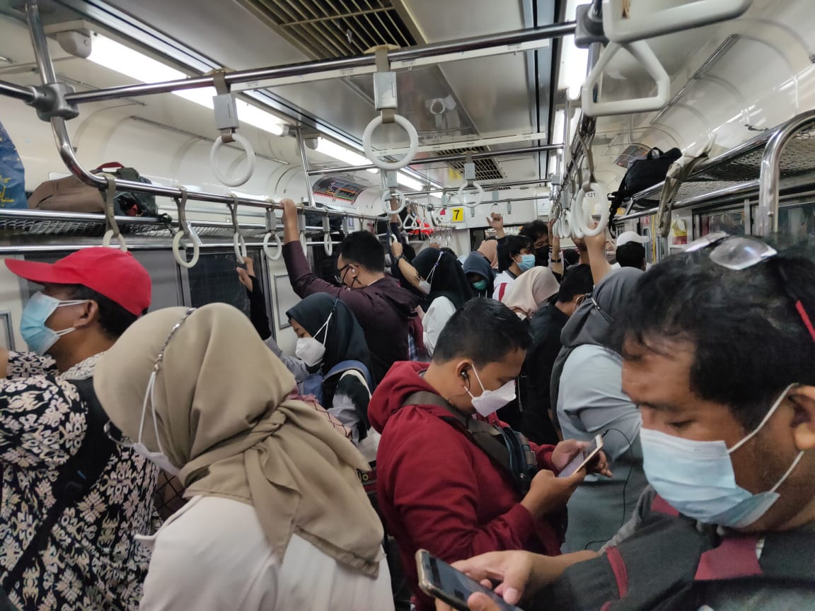 Pohon Tumbang, KRL Tujuan Bogor Terganggu 1