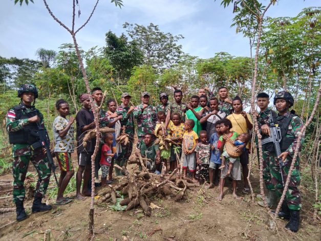 Satgas Pamtas Panen Singkong Bersama Warga   14