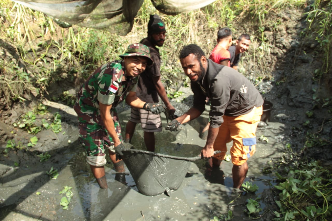 IMG-20220604-WA0082 Panen Ikan Lele Hasil Budidaya di Perbatasan Papua 1