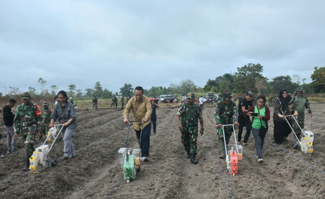Tingkatkan Ketahanan Pangan, Danrem 174/ATW Merauke Gandeng BPTPP Tanam Jagung 1