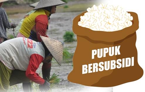 Pemerintah Dinilai Tak Serius Atasi Kelangkaan Pupuk Subsidi 10