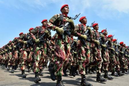 Ketua MPR Dukung Usulan Tambahan Matra Siber TNI 11