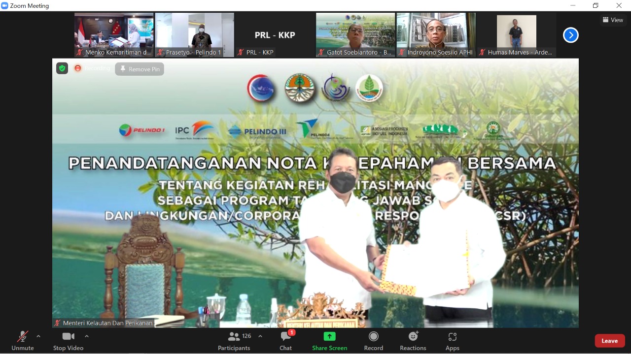 KKP Gandeng BUMN hingga Swasta Percepat Rehabilitasi Kawasan Mangrove 1