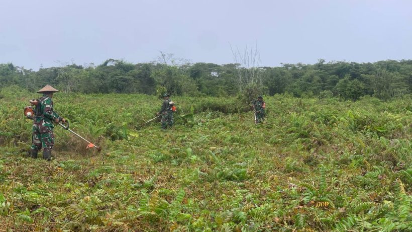 Sukseskan Program Pompanisasi, Kodim Mimika dan Kelompok Binaan Buka Lahan Persawahan 12