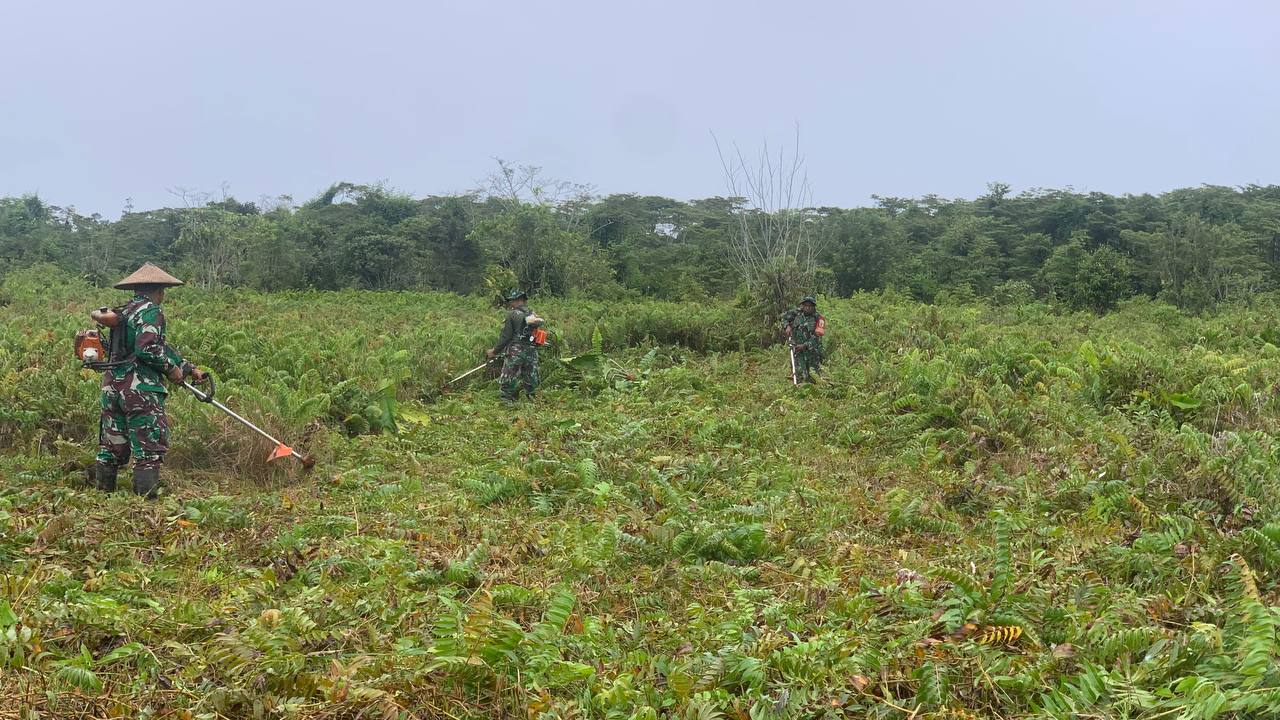 Sukseskan Program Pompanisasi, Kodim Mimika dan Kelompok Binaan Buka Lahan Persawahan 1