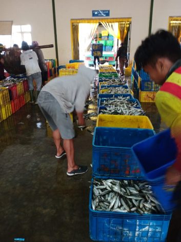 Jaga Harga dan Kualitas Ikan, KKP Dorong Nelayan Pengambengan Manfaatkan TPI Higienis 28