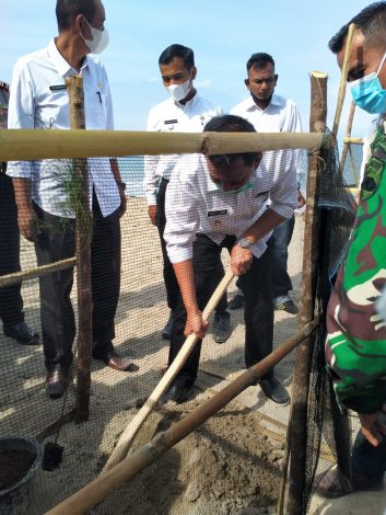 Antisipasi Dampak Tsunami, Ribuan Bibit Vegetasi Pantai Ditanam 24