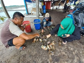 Raih 'Cuan' Lewat Kepiting Bakau 10